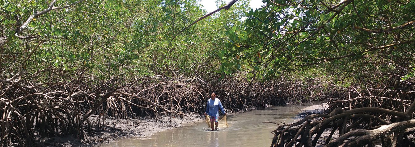 Ilha de Itaparica: A arte da vida local