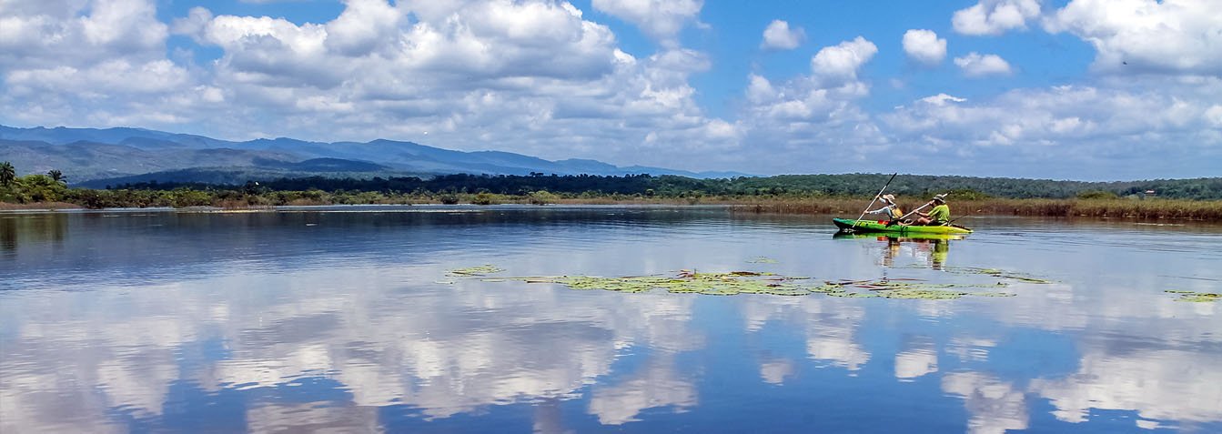 Pantanal Marimbus